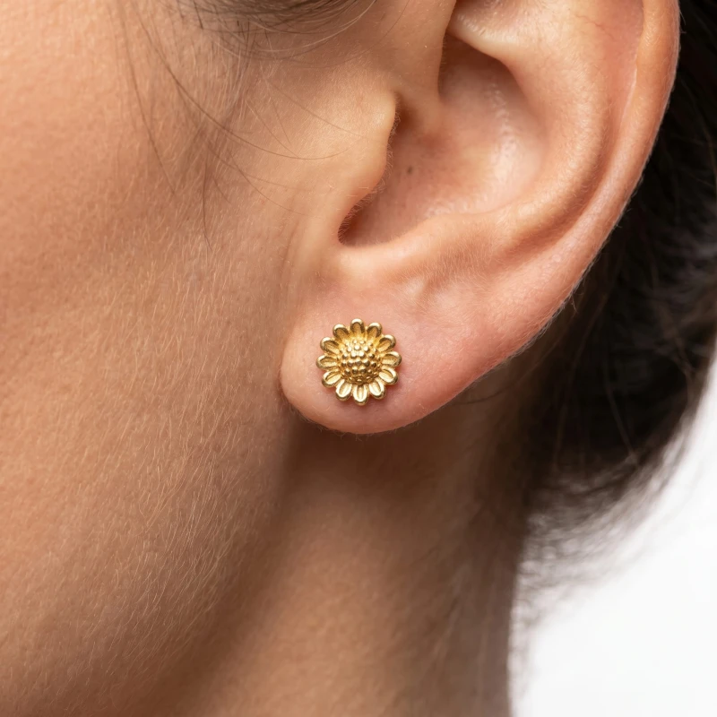 Extreme_close-up_on_the_ear_202606241048.jpeg