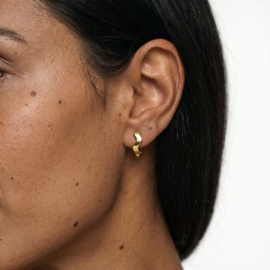 Extreme_close-up_on_the_ear_202606241128.jpeg
